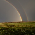 Regenbogen