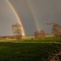 Regenbogen
