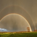Regenbogen