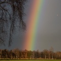 Regenbogen