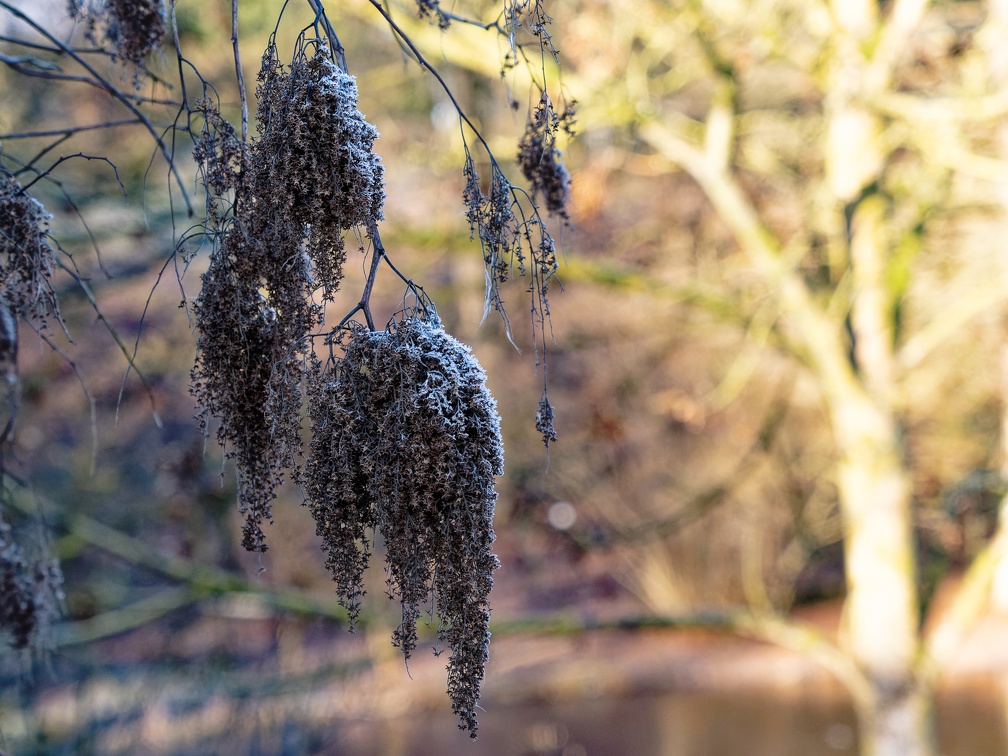 Botanischer Garten Osnabrück