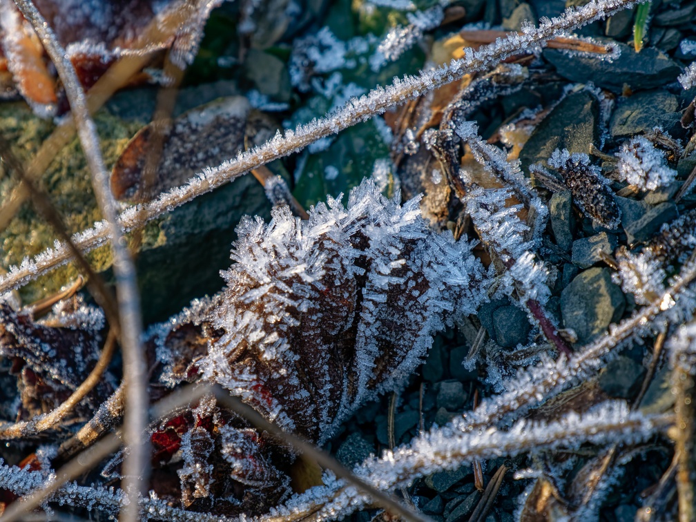 Botanischer Garten Osnabrück