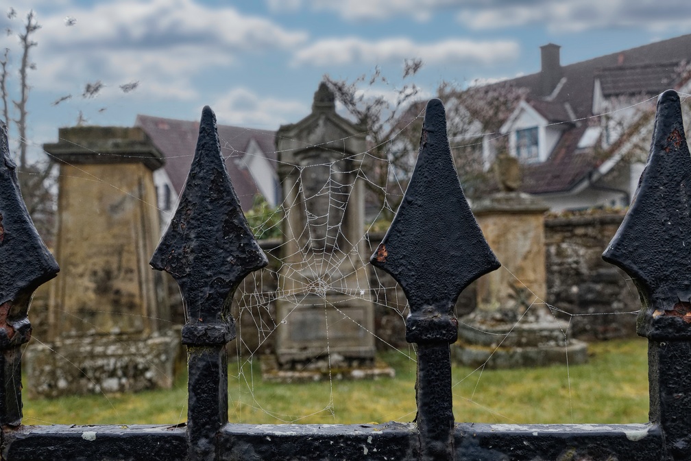 Friedhof Belm