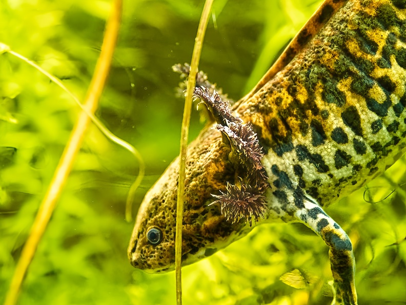 230519 OM-1 O1928774_DxO-Bearbeitet.jpg