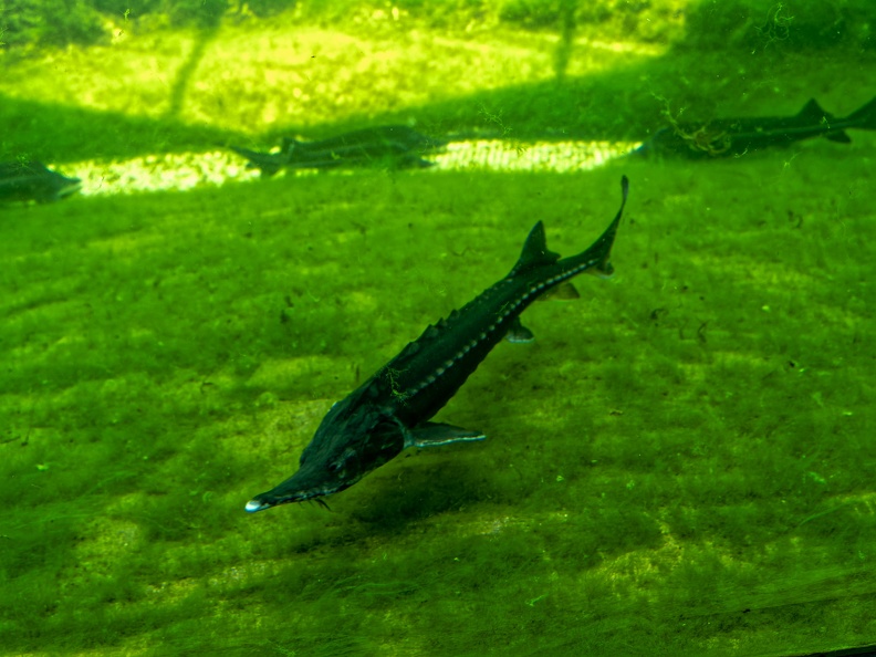 230519 OM-1 O1929232_DxO.jpg